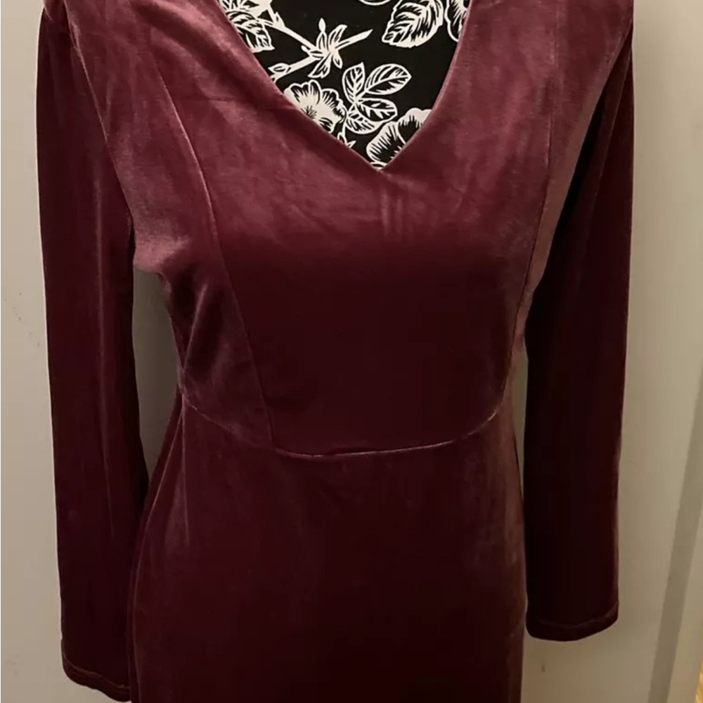 Ambition L Velvet Long Sleeve Dress Burgundy